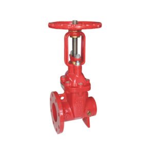 American Flanged x Grooved OS&Y gate valve