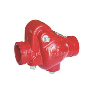 American Grooved swing check valve
