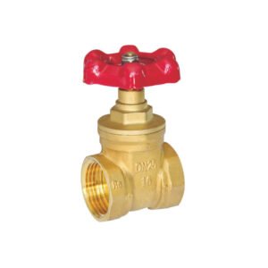 Brass NRS gate valve