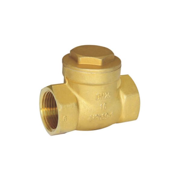 Brass swing check valve