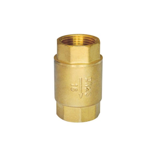 Brass vertical check valve