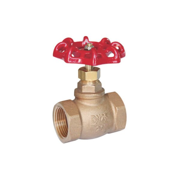 Bronze globe valve