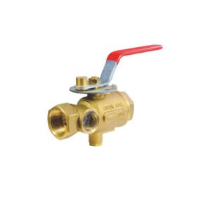 Test and drain valve