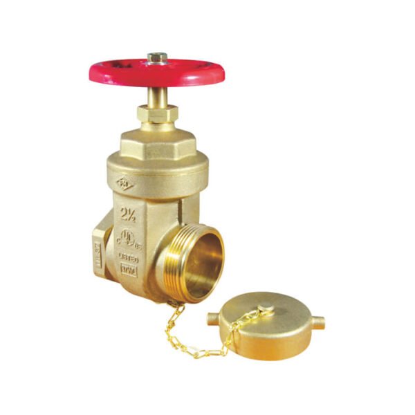 Straight hose gate valve