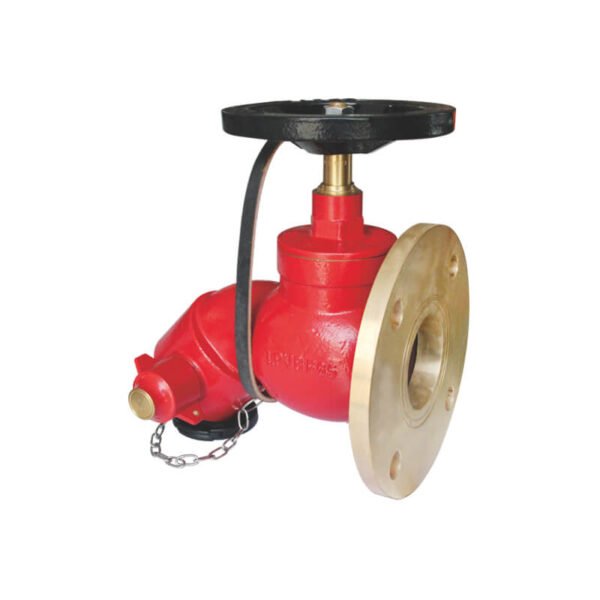 Bib-nosed type wet landing valve