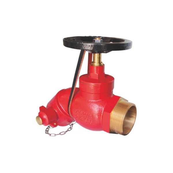 Bib-nosed type wet landing valve